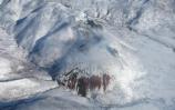 Windfall Mountain Fire 8