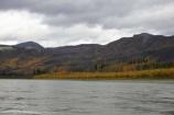 Autumn colors on the Yukon River