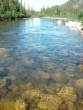 Rocks on the Charley River