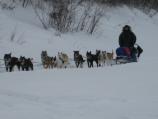 Quest team entering Slaven's Roadhouse area