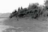 Charley's Village 1992 NW view