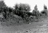 Charley's Village cutbank 1992