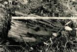 Wooden post from Charley's Village