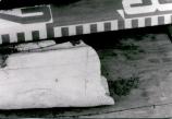 Charley's Village cut animal bone 1992