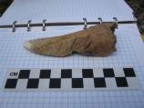 Charley's Village cut animal bone 2010
