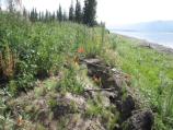 Charley's Village erosion 2010