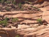 Hiking down White House Trail