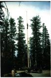 Flag Pole at Visitor Center