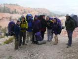 Cold group
