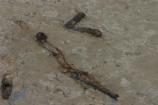 Fossilized shrimp burrow