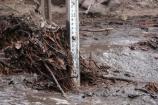 Leaf litter collects after monsoon rains flood Rhyolite Creek.