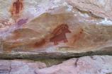 Pictographs at Deluge Shelter