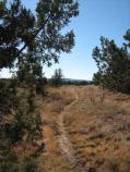 The Zuni-Acoma Trail crosses the lava flows of El Malpais and has been in use for centuries.