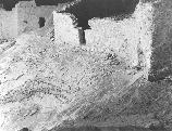 1956 stabilization of interior of cave #4