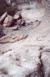Bedrock mortor holes on large rock indicate outdoor kitchen work.