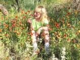 A young girl enjoys the wildflowers around Lake Meredith.