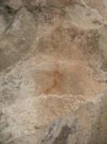 This pictograph can be found near the Swallet Cave Ruin at Montezuma Well. It is one of a very few pictographs that remain visible today.