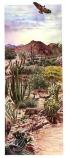 Desert community montage. Typical flora and fauna that have adapted to the Sonoran Desert. Plants: Saguaro cactus, Ocotillo, Brittlebush, Organ Pipe cactus, Engelmann Prickly pear cactus, Teddy bear cholla, Creosote bush, Paloverde, Saltbush, Senita cactus, Mesquite, Chainfruit cholla, Gold poppies, and Elephant tree. Animals: White-winged dove, Gila woodpecker, Gila monster, Western diamondback rattlesnake, Desert tortoise, Javelina, Gambel's quail, Roadrunner, Cactus wren, Coyote, and Red-tailed hawk.