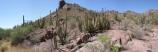 Alamo Canyon Landscape