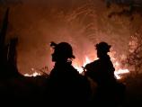 Careful monitoring of a fire line in the Rincon Mountains leads to better habitat for plants and animals of the pine forest.
