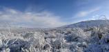 A vast blanket of snow on the desert.