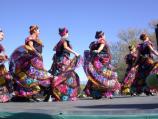 Seguridad Social Folkloricos