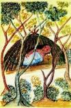 Smallpox killed more of the natives of Tumacácori than all the Apache attacks and other battles between various factions combined.
