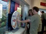 Visitors play the corn game