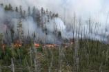 Stinky Fire Aug 22, 2006