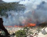 Lee Valley Prescribed Fire