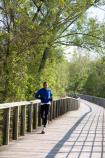 A runner on the Beaver Marsh boardwalk