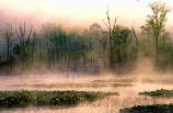 Beaver Marsh shrouded in morning mist with Towpath Trail boardwalk in the distance.