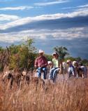 Prairie Day 2011