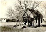 Agnes Freeman House