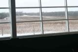 Looking West out of the Heritage Center Window