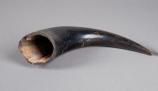 Curved, tapers to a point, animal horn