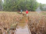 Hikers are able to experience a wetland up close atop a boardwalk built by volunteers.