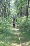 Fire staff following fire house into the woods during a fire preparedness exercise.