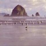 Haystacks Cannon Beach