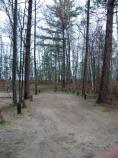 Twelvemile Beach Campground site 1, 46 feet