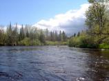 The current is evident as the river continues around the bend. Rocks, bends and trees, can all change how the river moves.