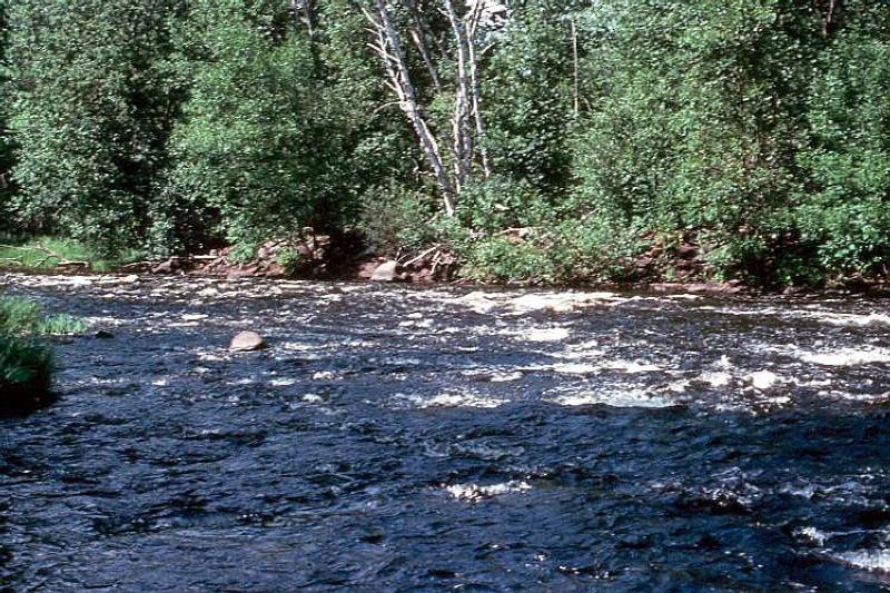 Photo Gallery (U.S. National Park Service)