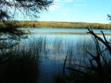 View of Otter Lake from Platte Plains Trail