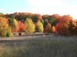 Fall colors of trees on the Windy Moraine Trail