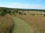 Thoreson farm from the Bay View Trail in September with leaves on the trees.