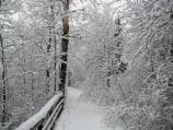 Beginning of Oberholtzer Trail