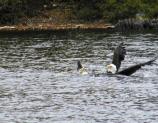 Kruse Bay, Rainy Lake, Voyageurs National Park