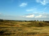 Edges of the forest and prairie of Wind Cave NP