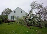 Tree Down at Dunker Church