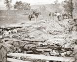 Confederate dead at Bloody Lane, looking northeast from the south bank. The group of Union soldiers looking on were likely members of the 130th Pennsylvania, who were assigned burial detail on the 19th.